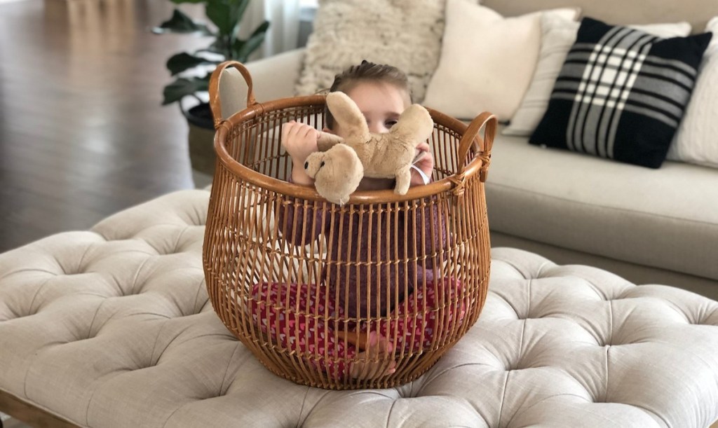 charli with stuffed animal puppy in a basket sitting on an ottoman in a living room