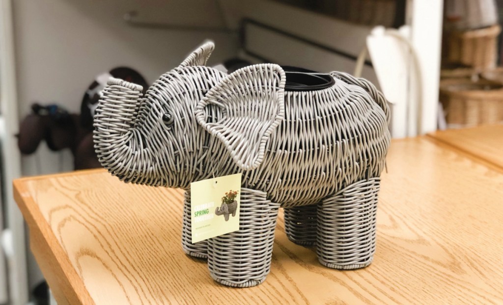 Elephant planter at Kohl's
