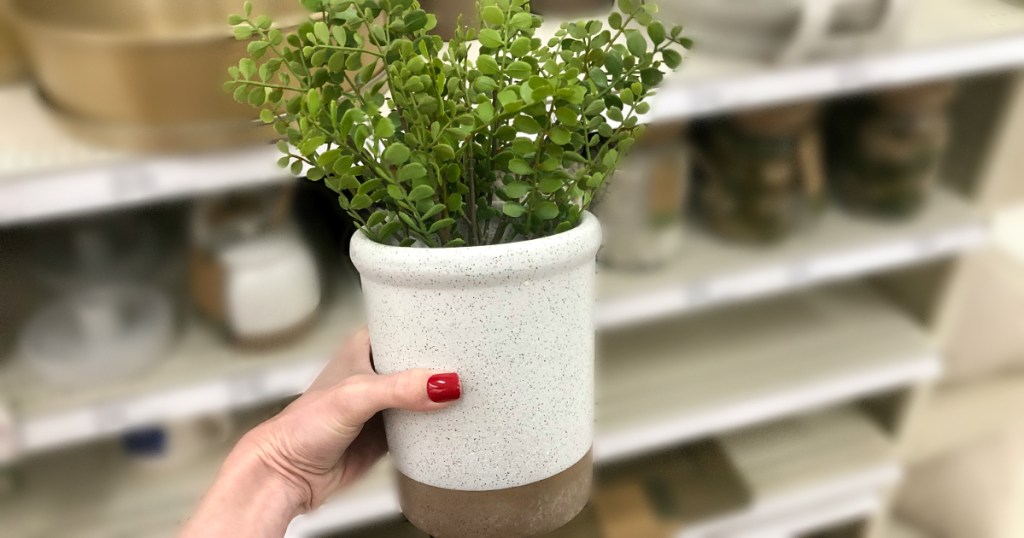 Smith & Hawken garden decor at Target