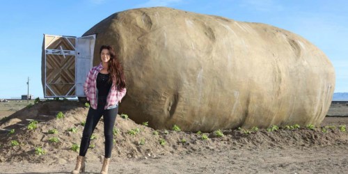 This Idaho Potato Airbnb Hotel Room Comes Fully Loaded and Ready for Travelers