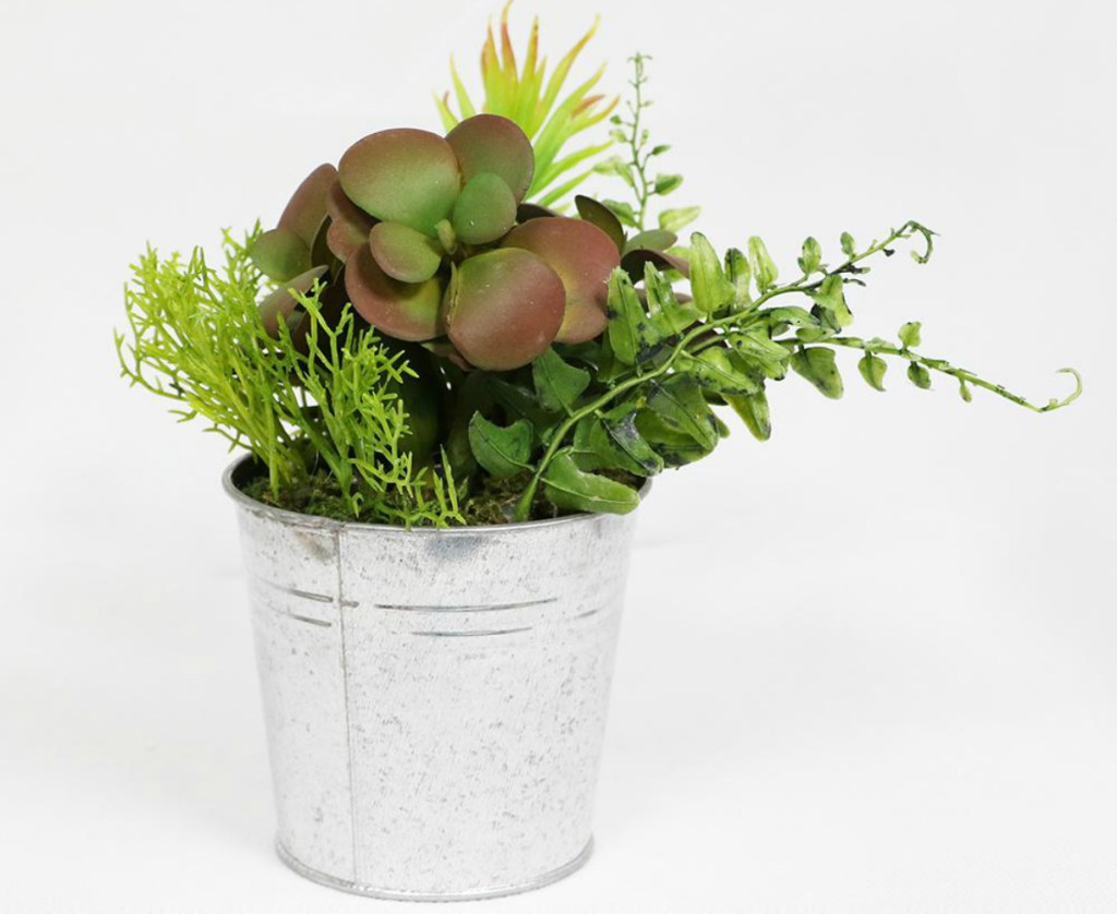 Indoor Artificial Succulents in Metal Pot