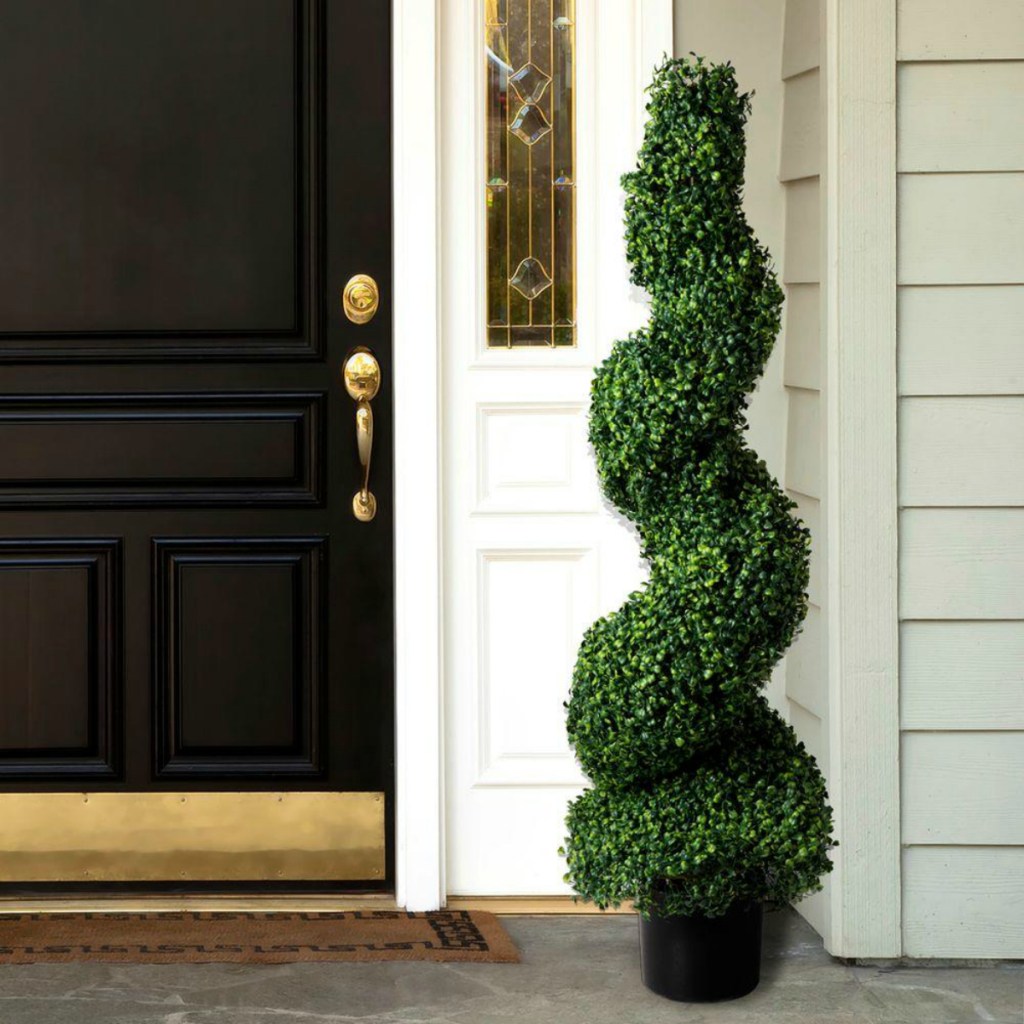 Spiral topiary tree