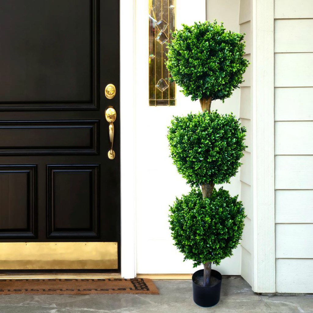 Topiary plant