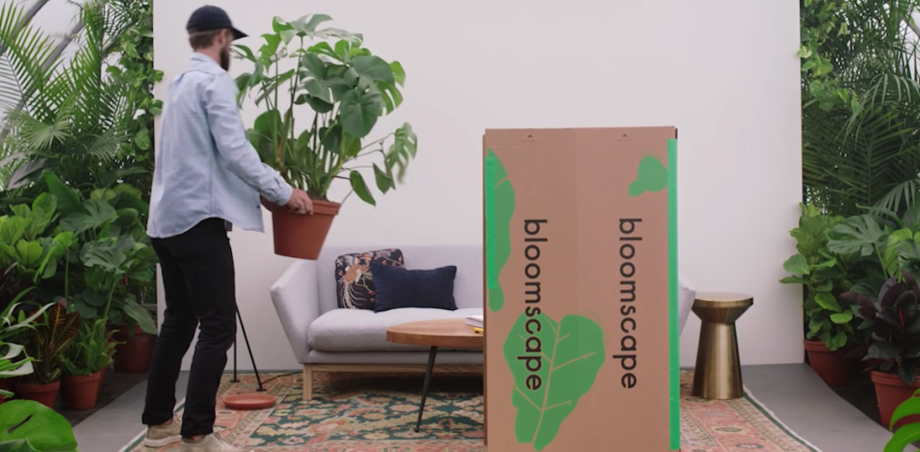 man with hat holding large plant in living room with open delivery bloomscape box - best place to buy plants online