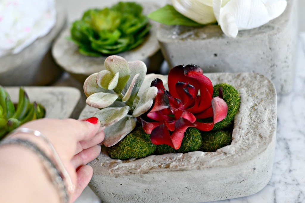 dollar tree moss rocks and succulents inside a DIY cement planter 