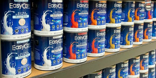Buy One, Get One FREE Paint or Stain at True Value
