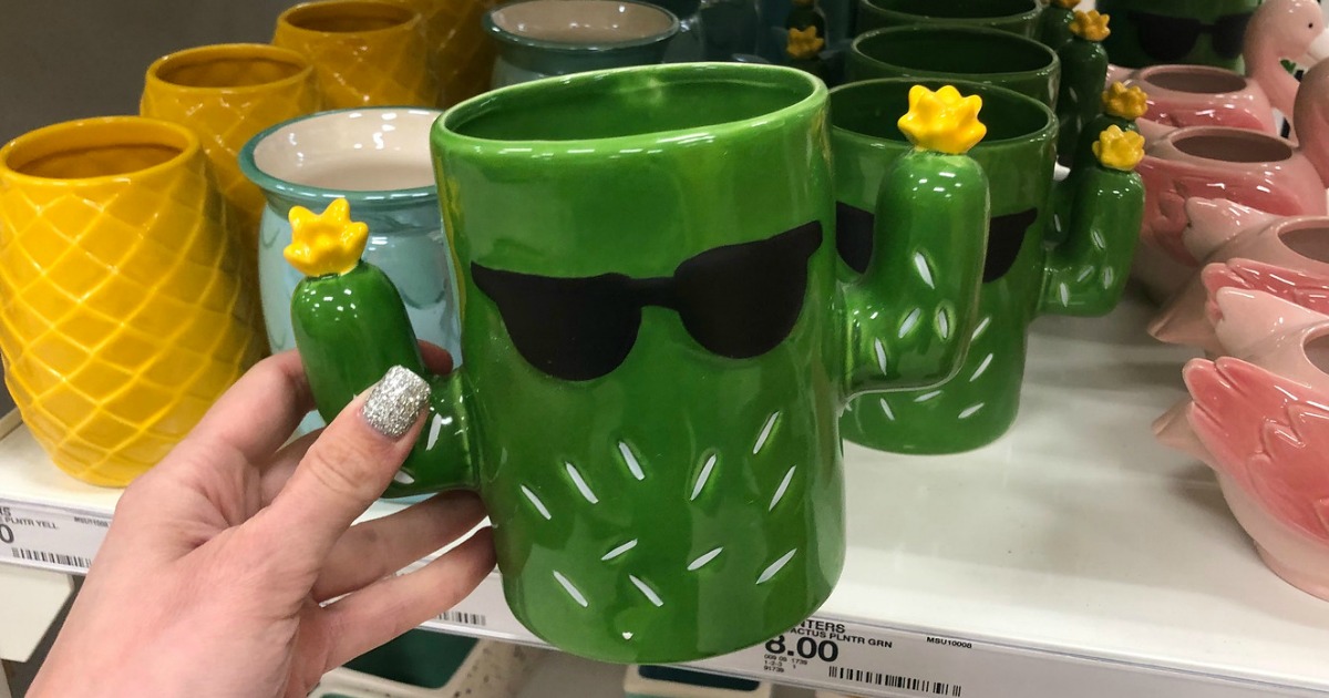 holding cactus planter on target shelf