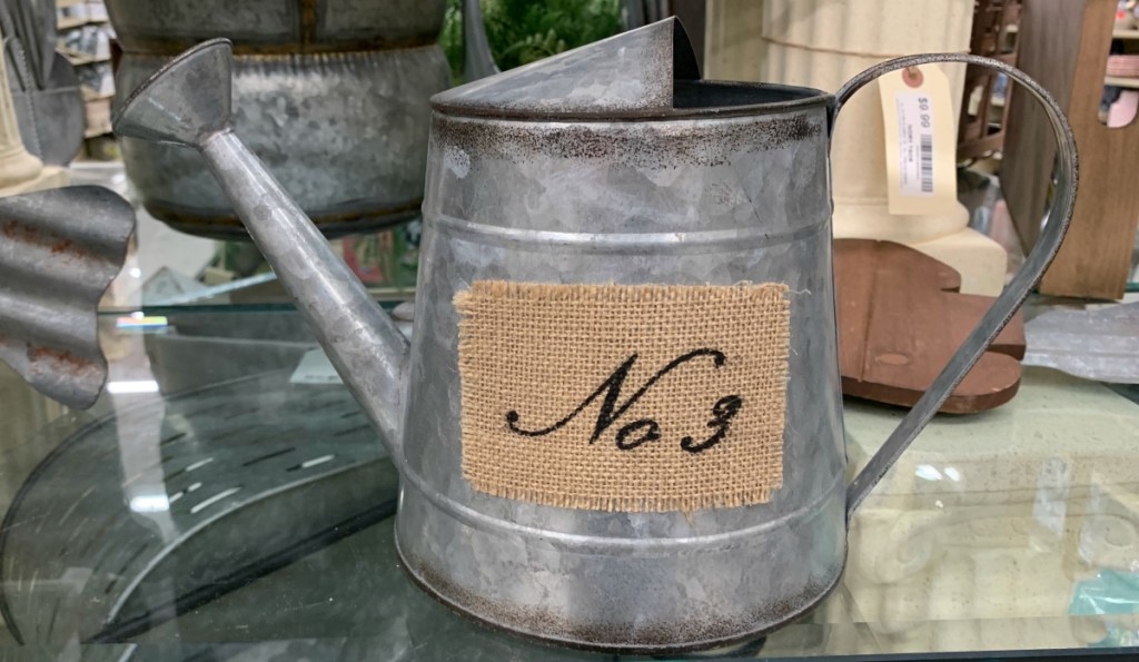 Rustic Galvanized Metal Watering Can 