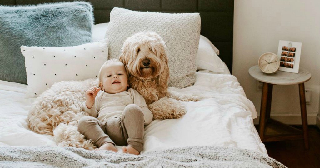 baby and dog sleeping on Zinus mattress
