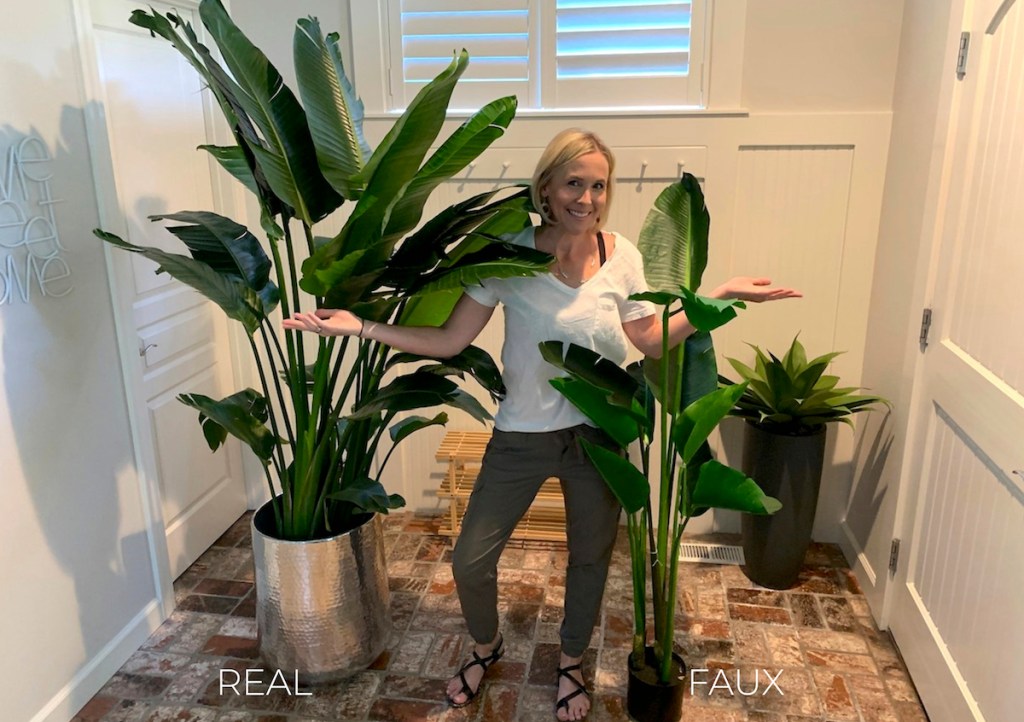 woman with two tall banana leaf tree plants on brick floor