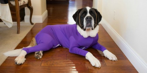 Introducing the Dog Onesie: Take Your Dog Anywhere Without Leaving a Trail of Hair