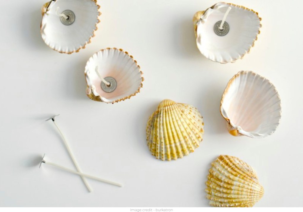mini seashells with candle wicks on white surface