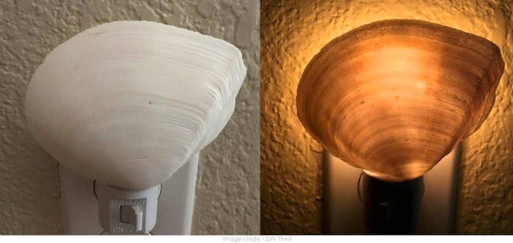 side by side of seashell nightlight turned on and off