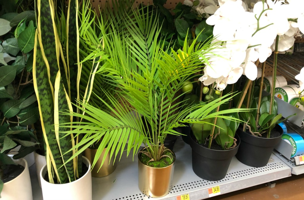 Mainstays 28" Palm