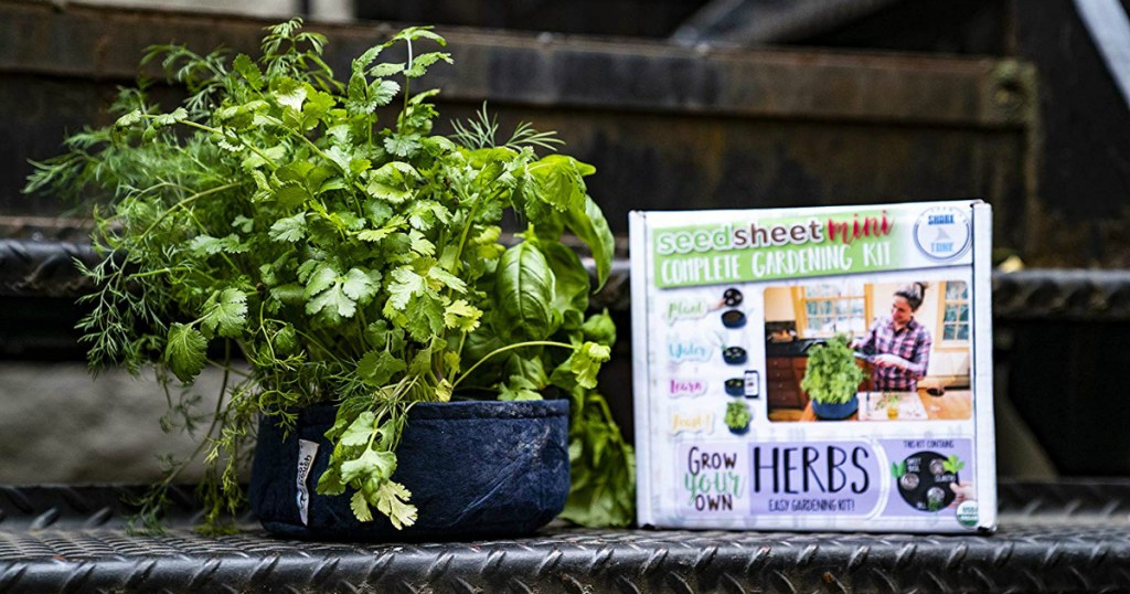 Seedsheet Gardening Kit