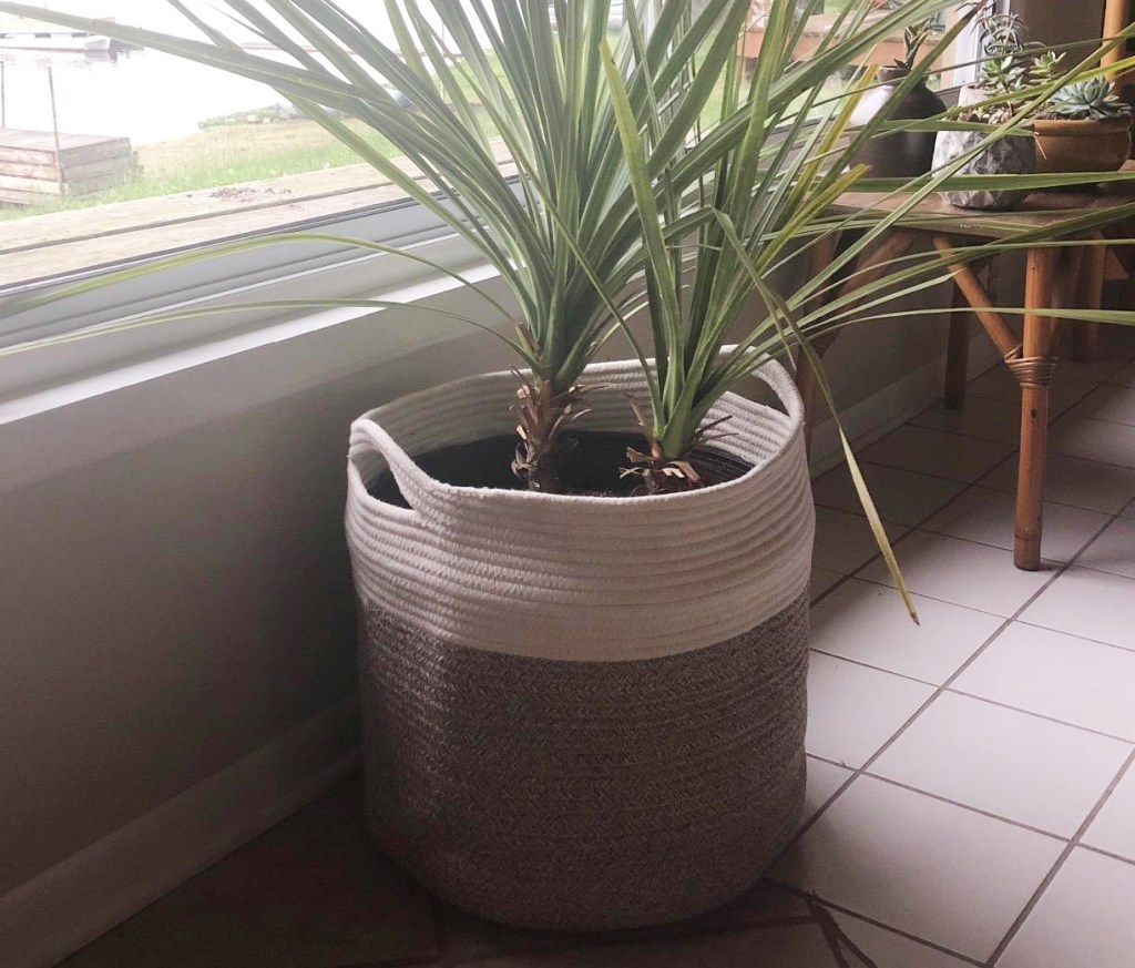 rope basket