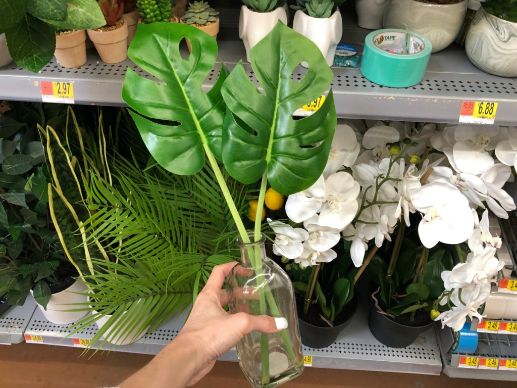 hand holding Mainstays Monstera In Bottle