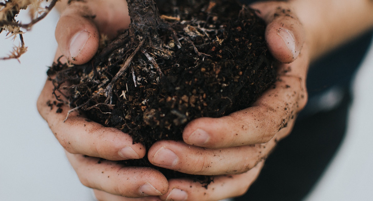 hands holding pile of dirt