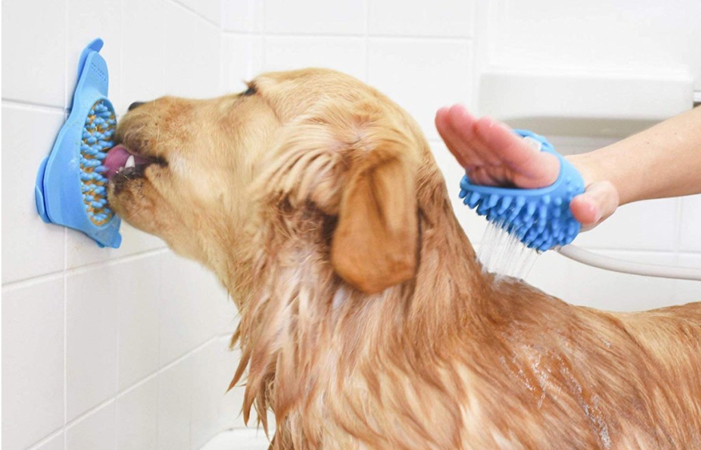 golden dog licking blue triangle silicone mat