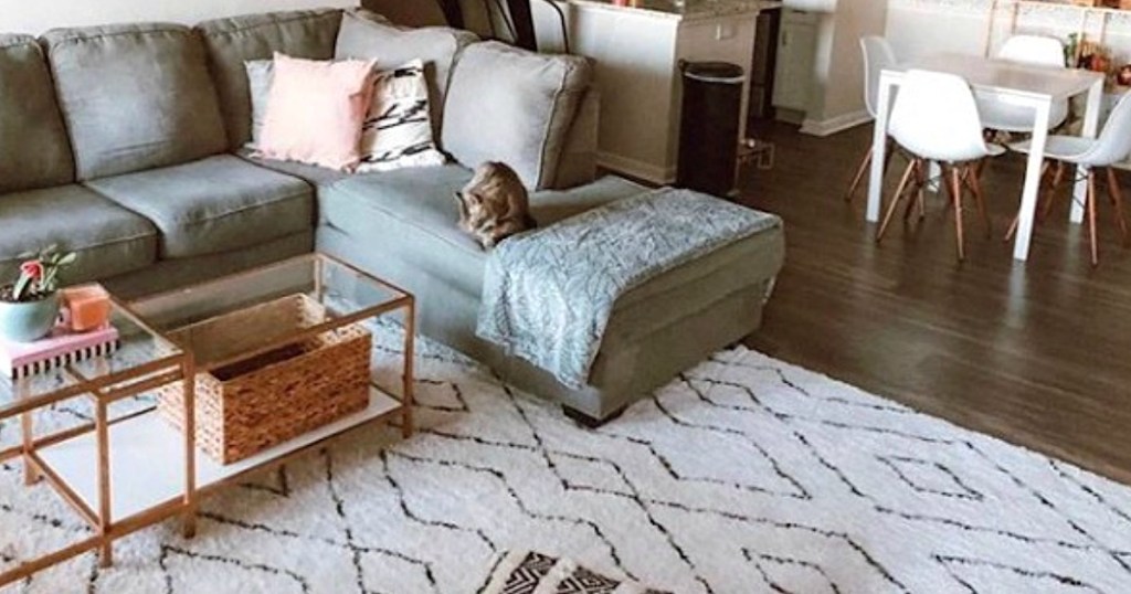 living room with sectional and large area rug 