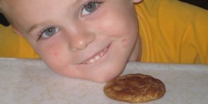 Snickerdoodle Recipe… yummy!