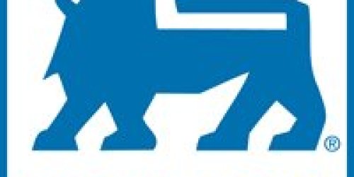 Food Lion Deals 4/15-4/21