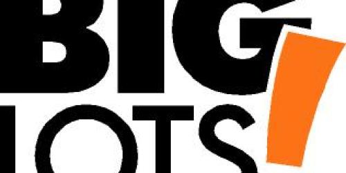 Big Lots: 20% off Coupon- 10/5-10/10!