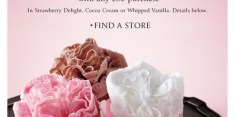 New Victoria's Secret Deal: FREE Lace Panty, 50% off Hoodies & Sweatpants + $10 off $50 Coupon!