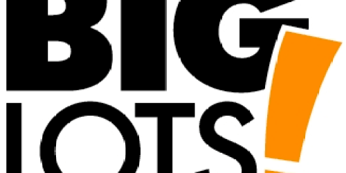 Big Lots: 20% off Your Entire Purchase