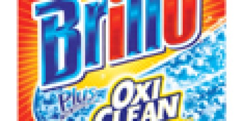 Become a Brillo Consumer Panel Member