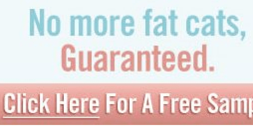 FREE Sample Young Again Cat Food
