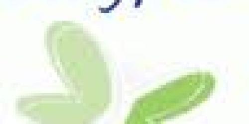 Buy 1 Get 1 FREE Stayfree Coupon (New Link!) = Better Than FREE at Rite Aid