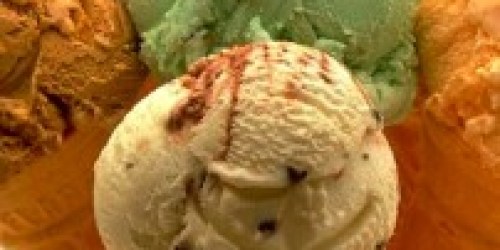 Mamapedia: Refer 20 Friends (No Purchase Required!) = FREE $20 Baskin Robbins Gift Card