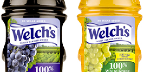 *HOT* FREE Fruit Juice (up to a $2.50 value!) with Fisher Boy Product Purchase Coupon