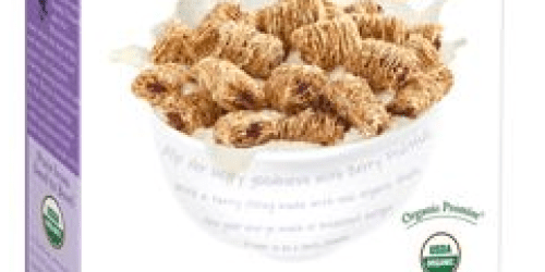 Target: Kashi Berry Fruitful Cereal Only $1, Free Vaseline Lotion, More Holiday Clearance Deals…