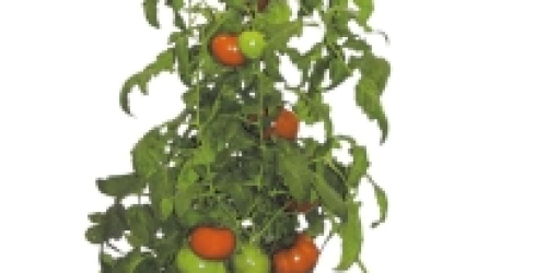 Ace Hardware: Topsy Turvy Upside Down Tomato Planter Only $1.99 + Free Store Pickup