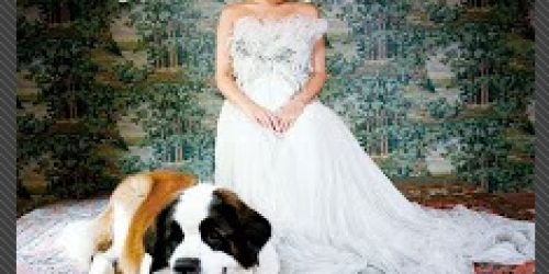 Google Play: FREE Chasing Pirates MP3 Download by Norah Jones (Today Only!)