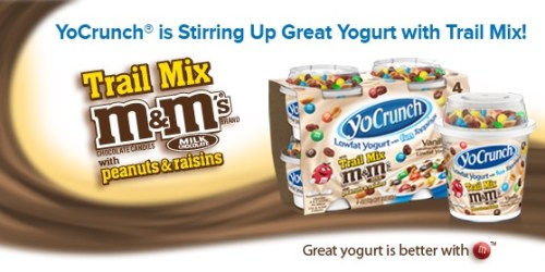 2 Rare YoCrunch Yogurt Coupons: Save $1.50/1 Multipack & Buy 1 Cup Get 1 Free Single Cup