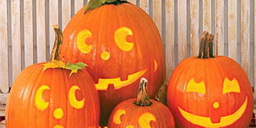 FREE One Year Subscription to Family Circle Magazine