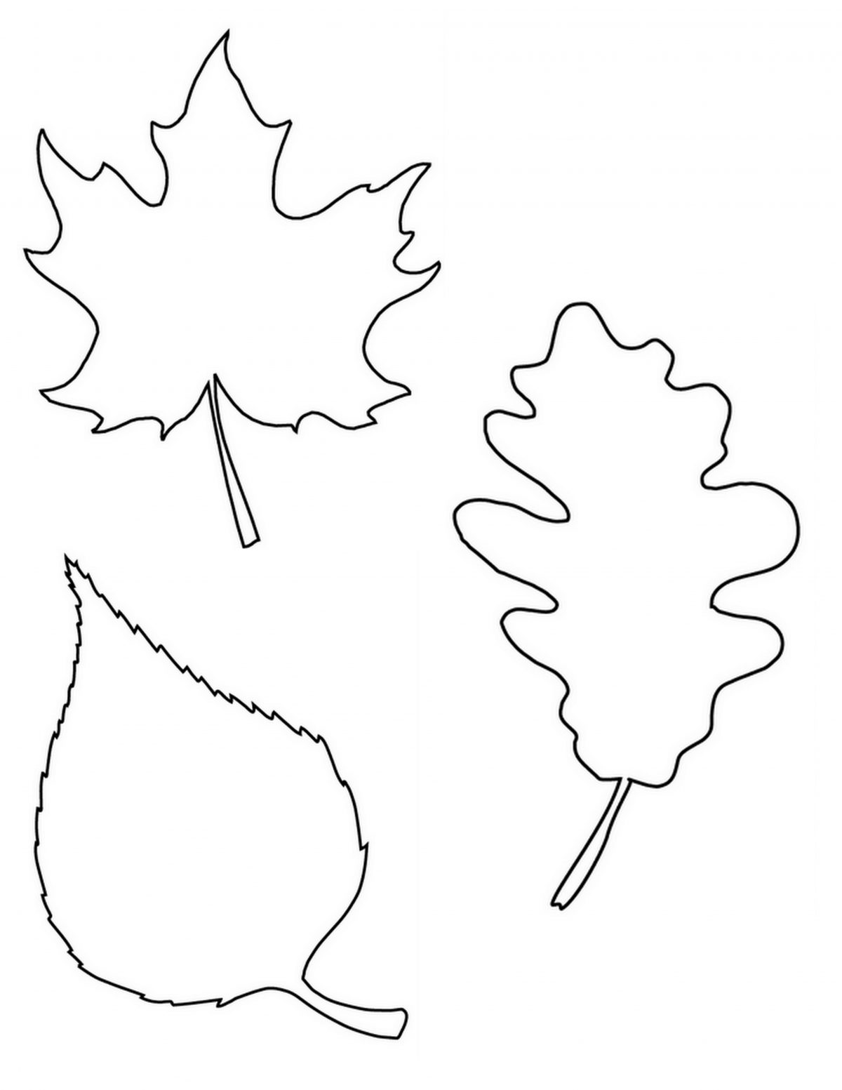 free fall leaf printable 