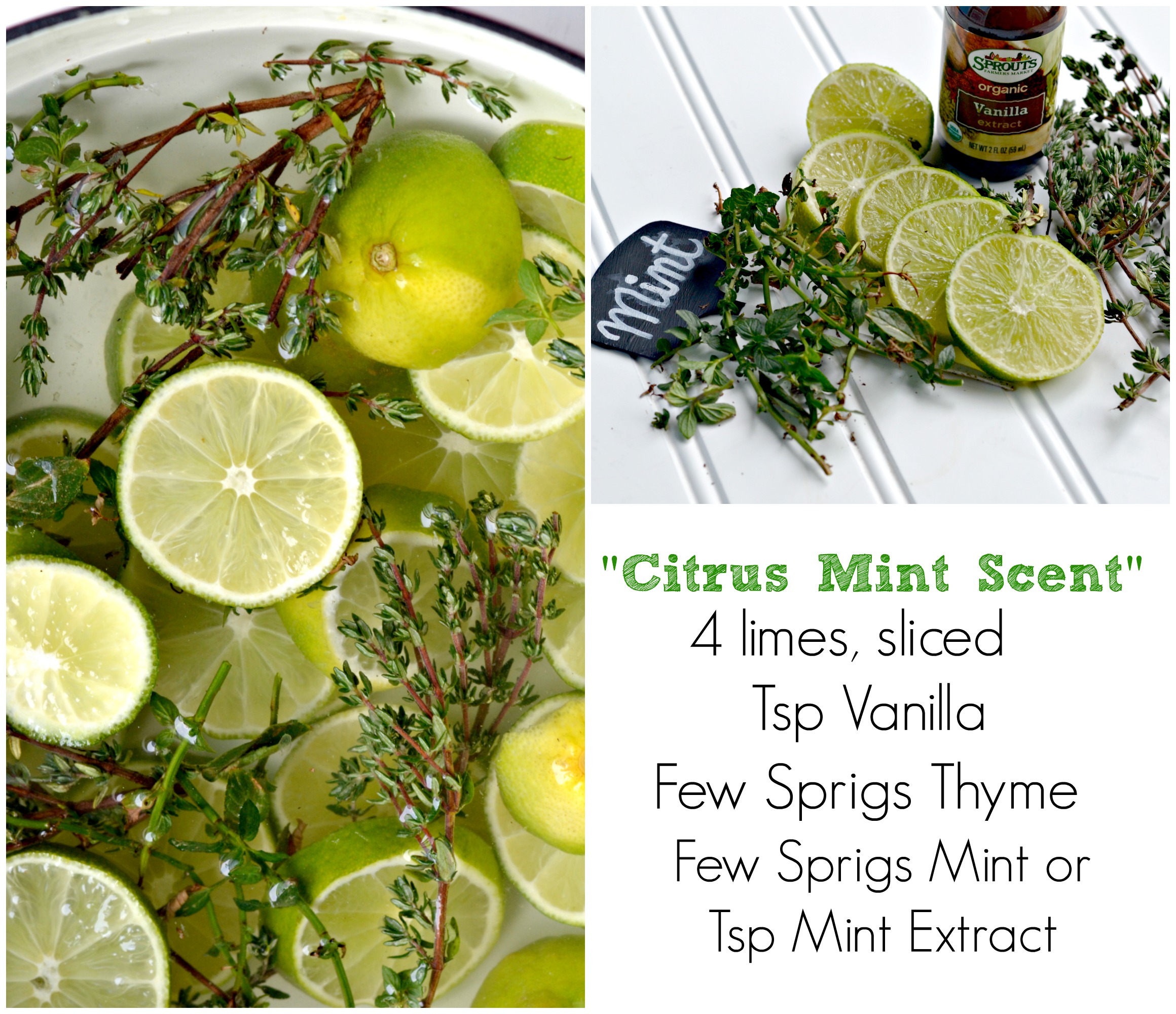 Citrus Mint Natural Room Scent Hip2Save