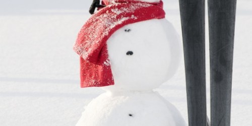 Dick’s Sporting Goods: 2013 Black Friday Deals