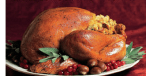 iTunes Store: FREE Williams-Sonoma Thanksgiving Cookbook Download