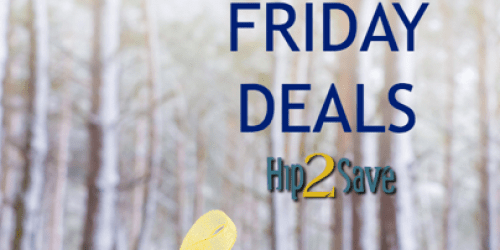 Bath & Body Works: 2013 Black Friday Deals