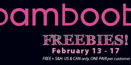 FREE Bamboobies Washable Nursing Pads (Just Pay Shipping of $2.95) – Awesome Reviews