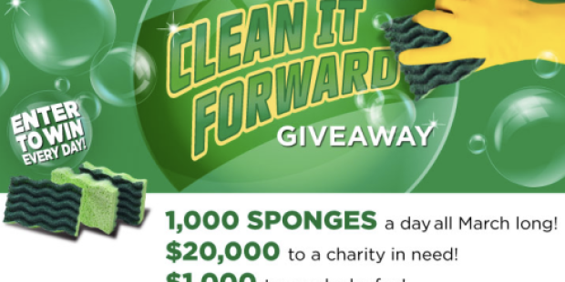 Libman Giveaway: 31,000 Win FREE Sponges – 1,000 Daily Thru 3/31 + More (I Actually Won!)