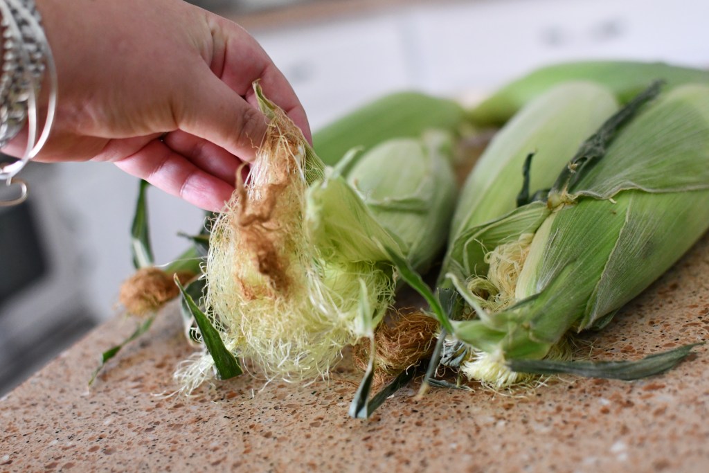 fresh corn with husk on