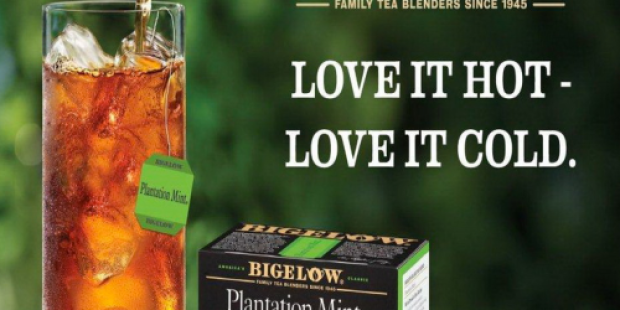 FREE Sample of Bigelow Plantation Mint Tea