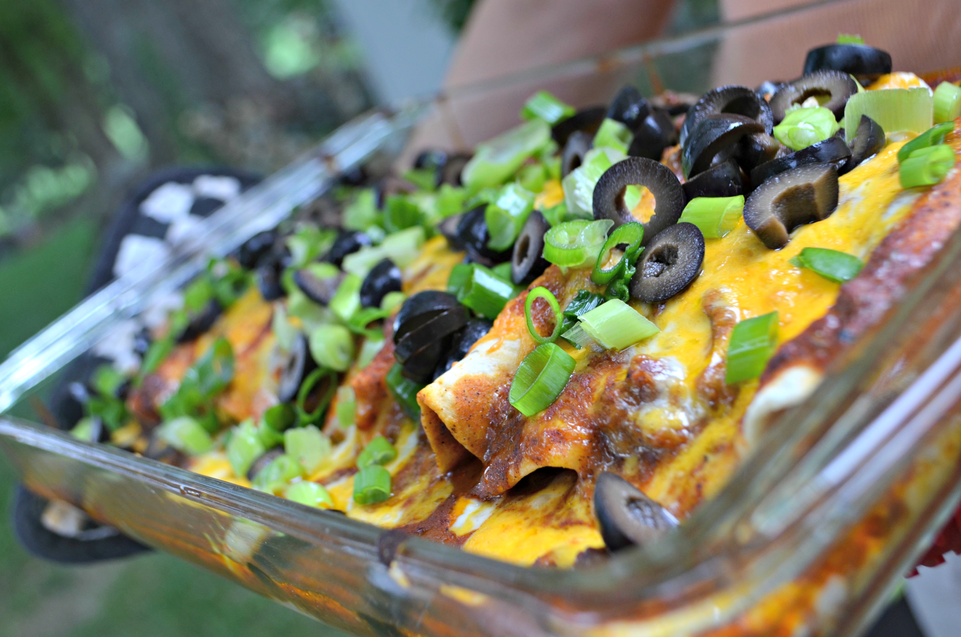 baked enchiladas in the pan