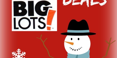 Big Lots: 2014 Black Friday Deals